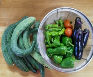 野菜作り